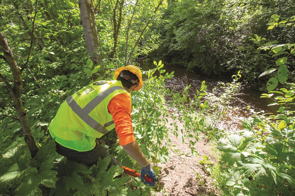 An Anchorage Park Foundation’s Youth Employment in Parks participant wears a yellow Caring for Alaska vest and trims an invasive species near a creek.